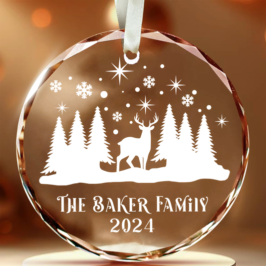 Personalized Family Chritsmas Glass Ornaments