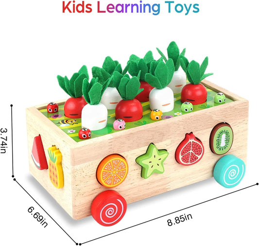 Montessori Wooden Carrot Harvest & Fruit Matching Toy – Fun & Educational for Toddlers